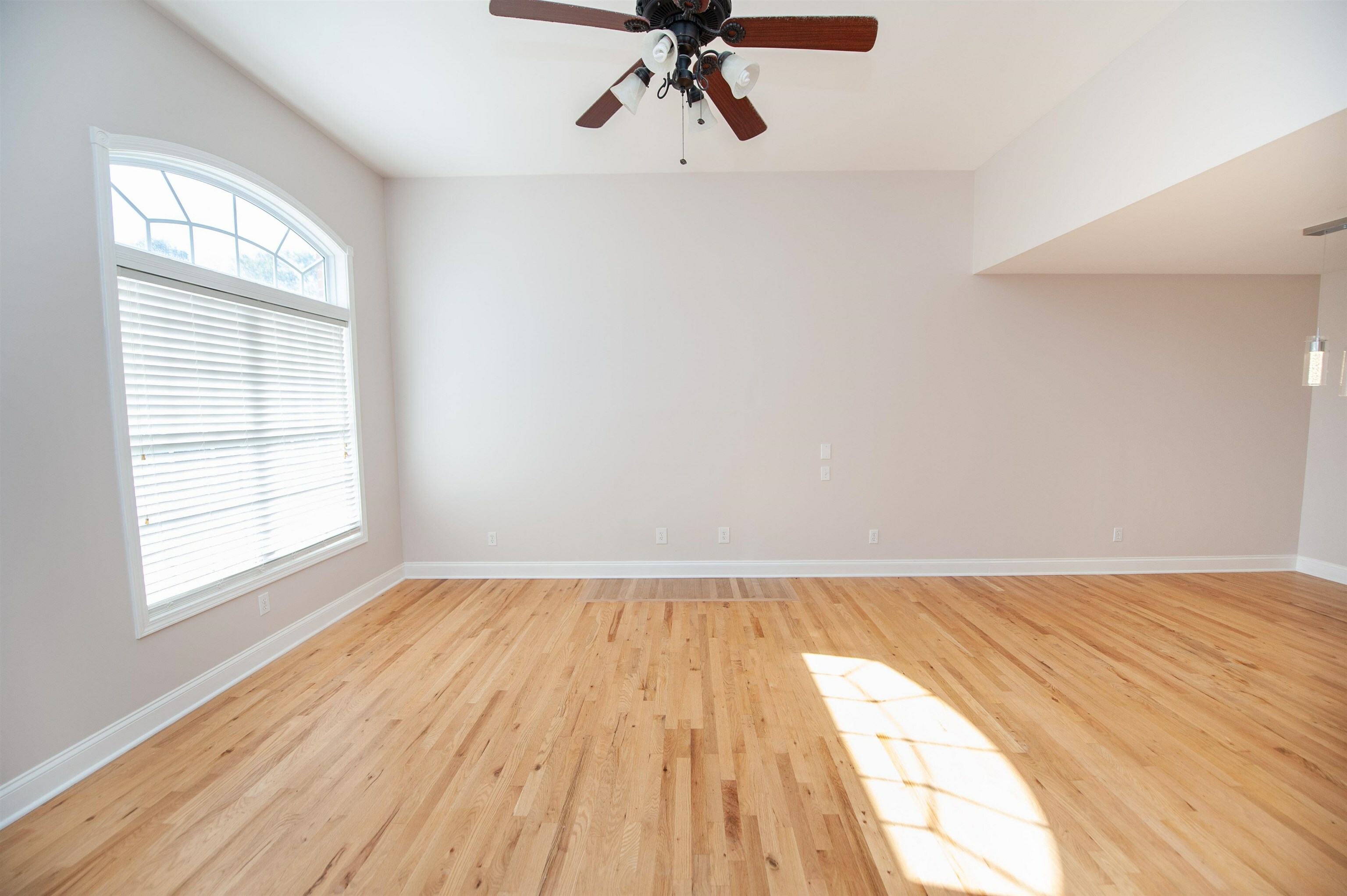 Property Photo:  704 Adaline Drive  SC 29349 