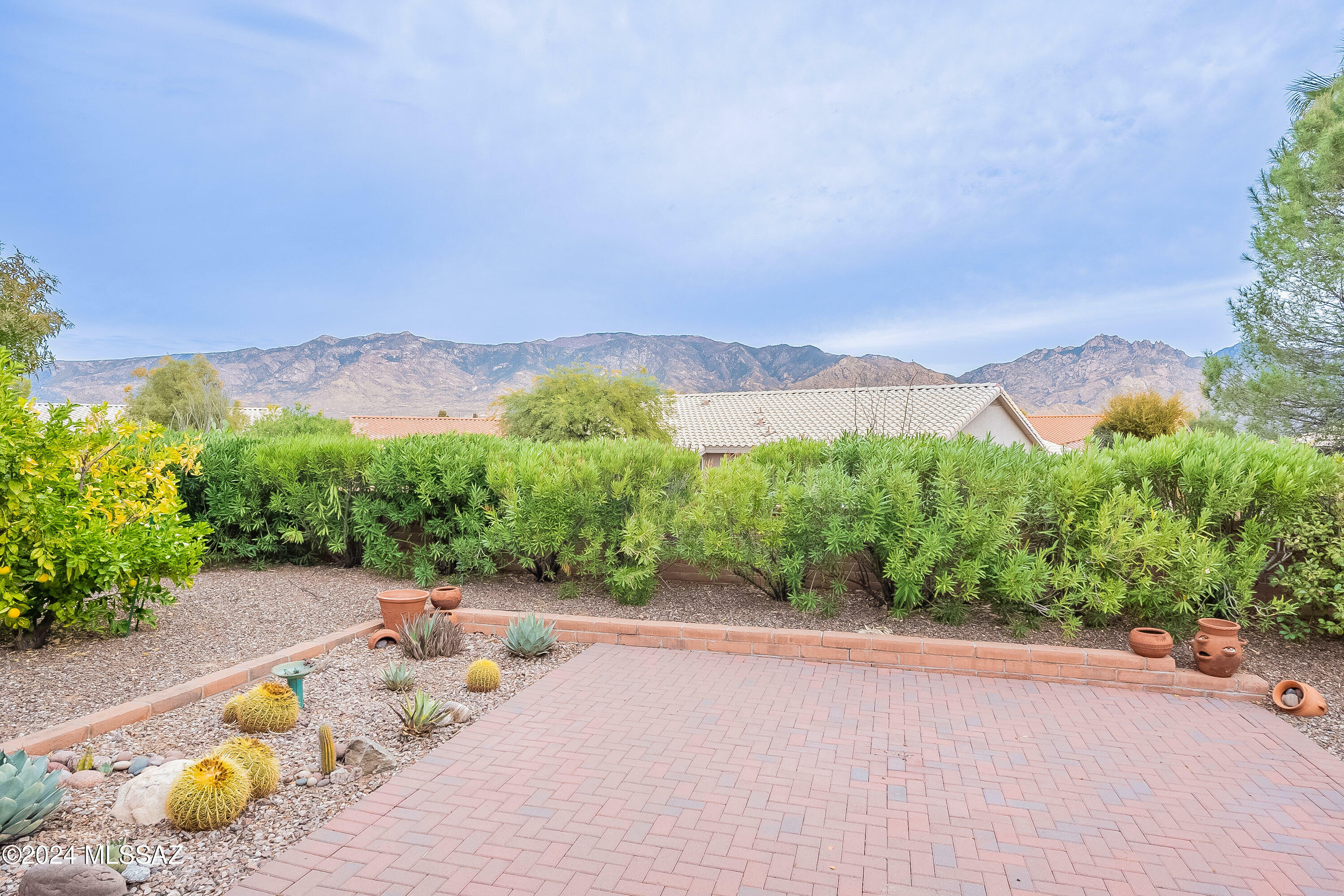 Property Photo:  14190 N Alyssum Way  AZ 85755 