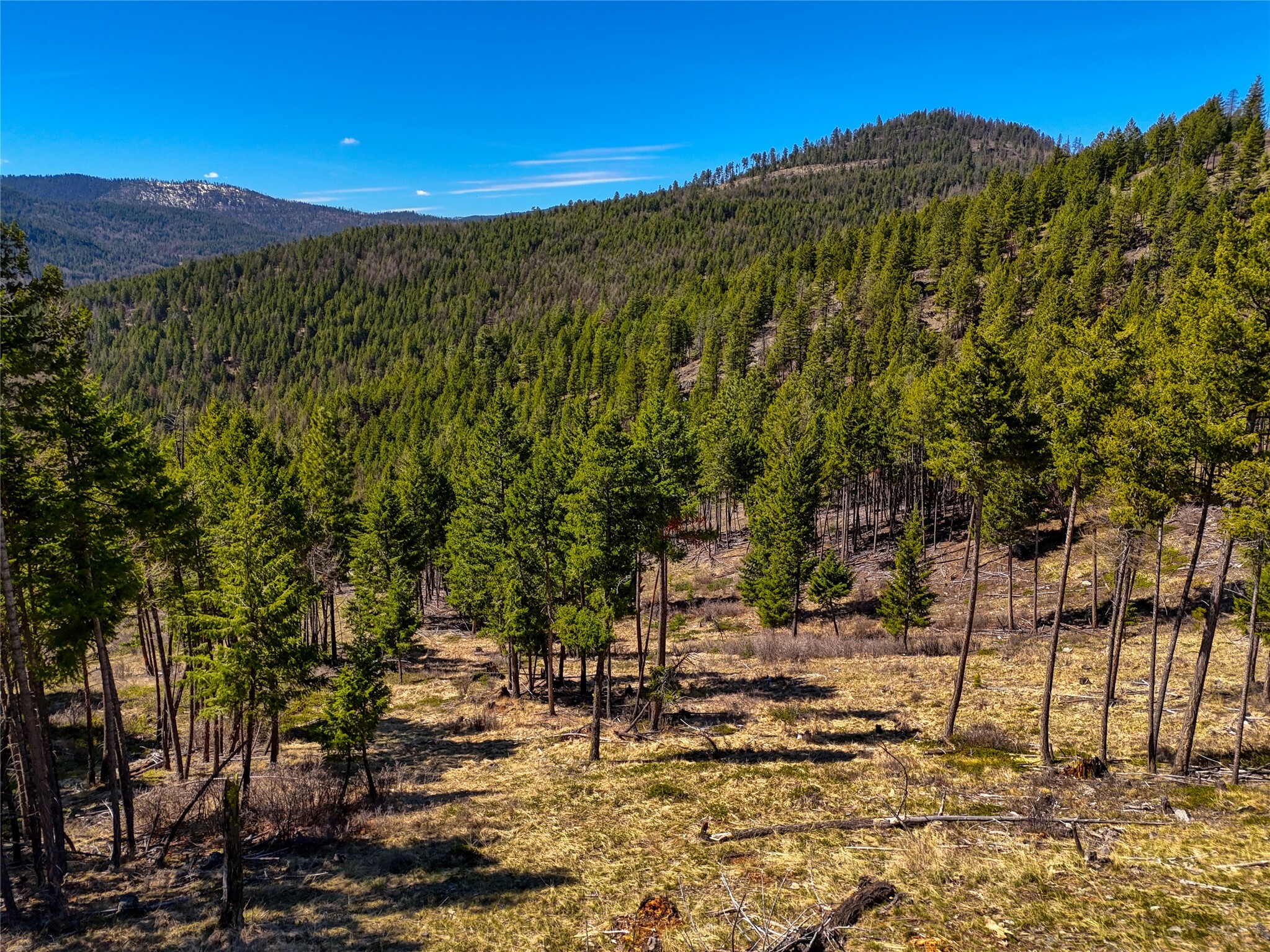 Property Photo: Tbd Sirius View MT 59901