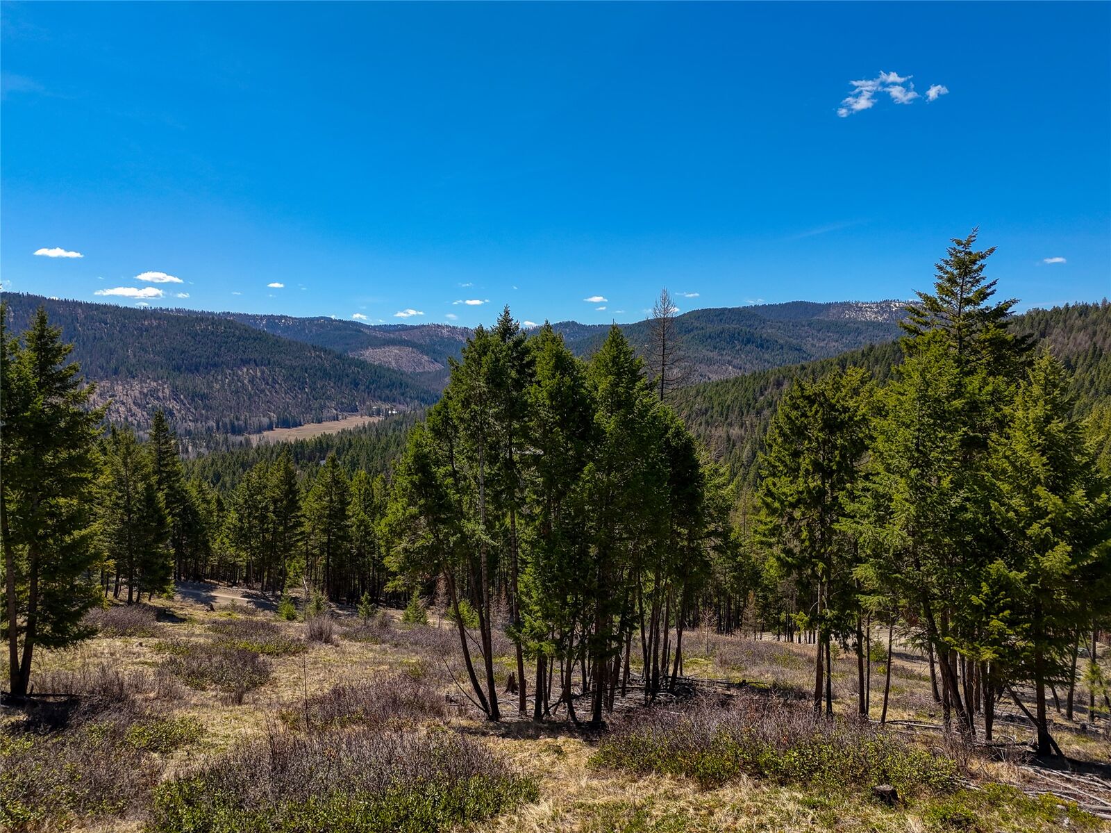 Property Photo:  Tbd Sirius View  MT 59901 