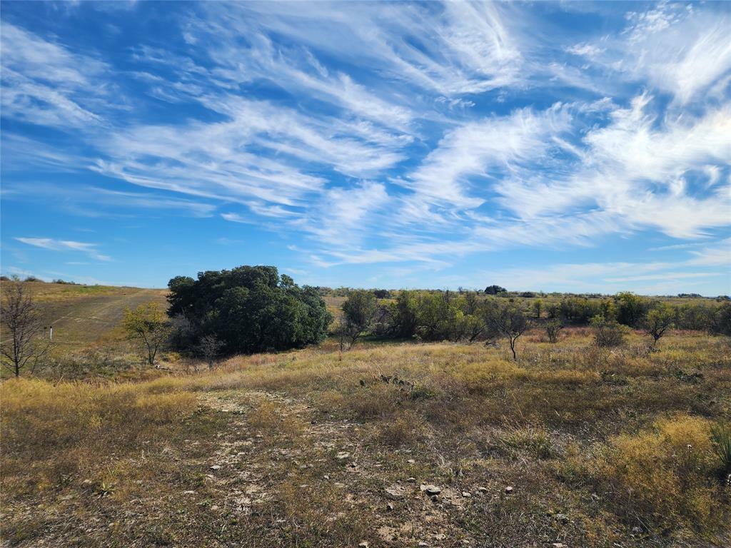 Property Photo:  Tbd County Road 238  TX 76442 