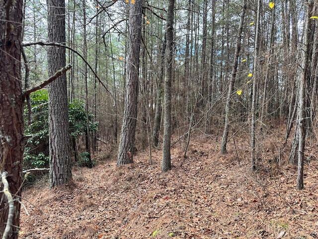 Property Photo:  Lot 6 Skyline Drive  TN 37391 