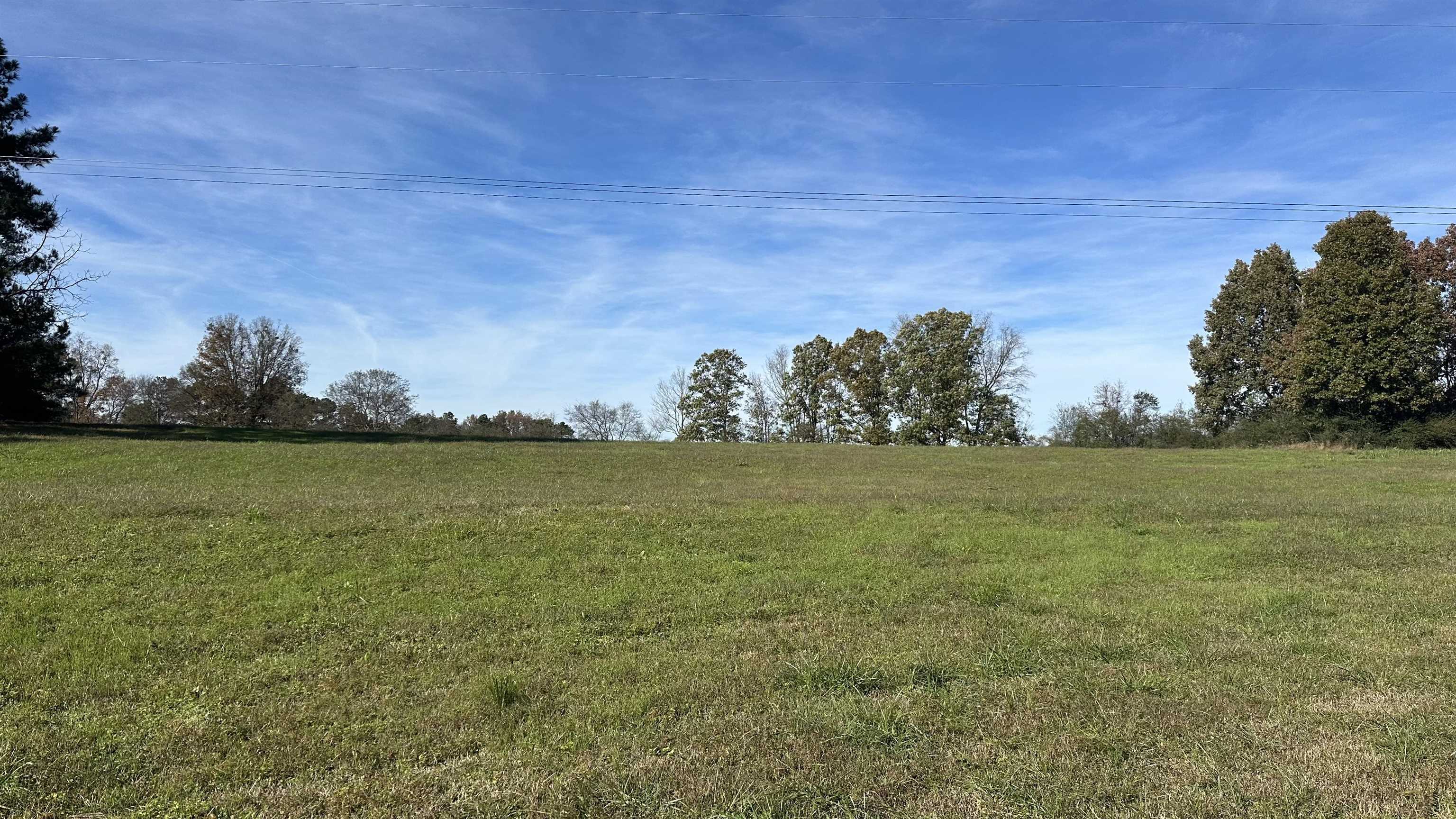 Property Photo:  Tbd Mt Carmel Rd  AL 35622 - FALKVILL 