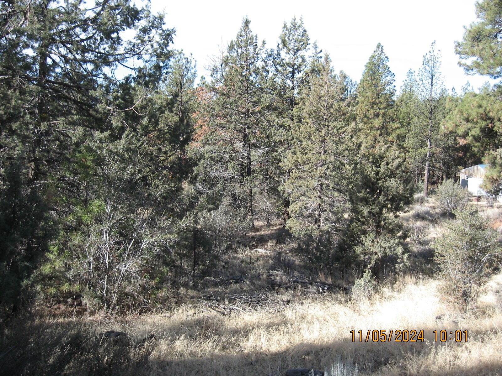 Property Photo:  Lot 7 Warbler Drive  OR 97623 