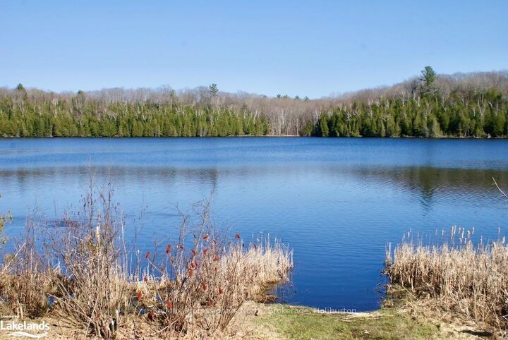 Property Photo: 0 Highway 35 N/A ON K0M 2K0