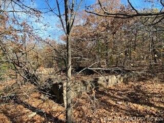 E 026  Stigler OK 74462 photo