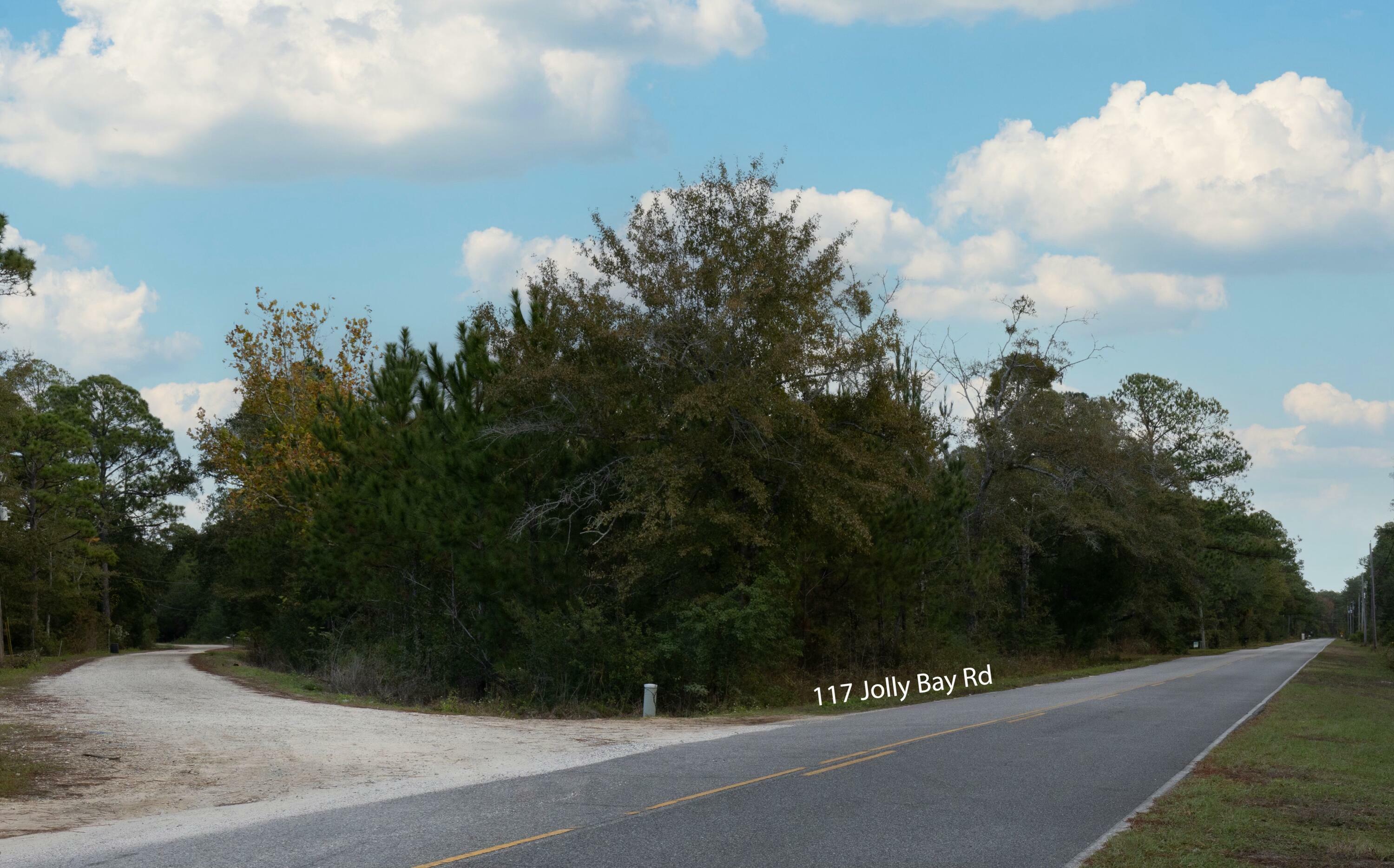 Property Photo:  117 Jolly Bay Road  FL 32439 