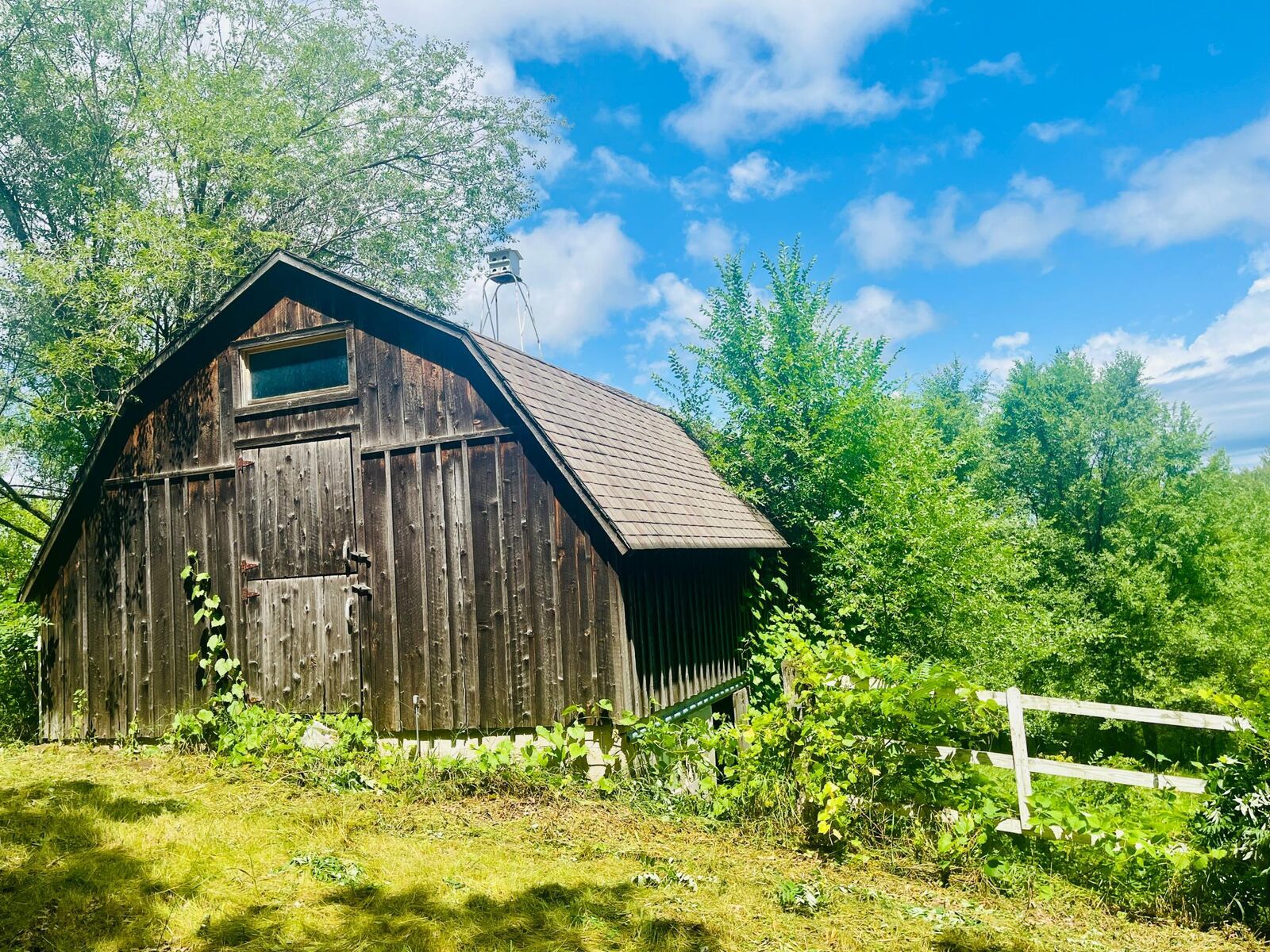 Property Photo:  25246 33rd Avenue  MN 56301 