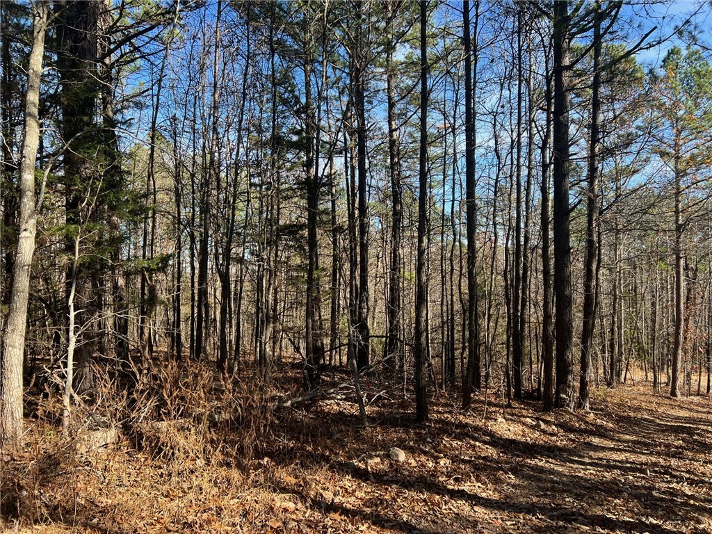 Property Photo:  Lot 1 Tbd Nc 3015  AR 72641 