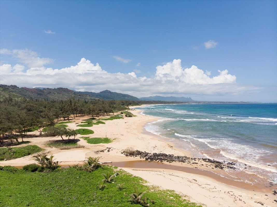 Property Photo:  4331 Kauai Beach Dr 1116  HI 96766 