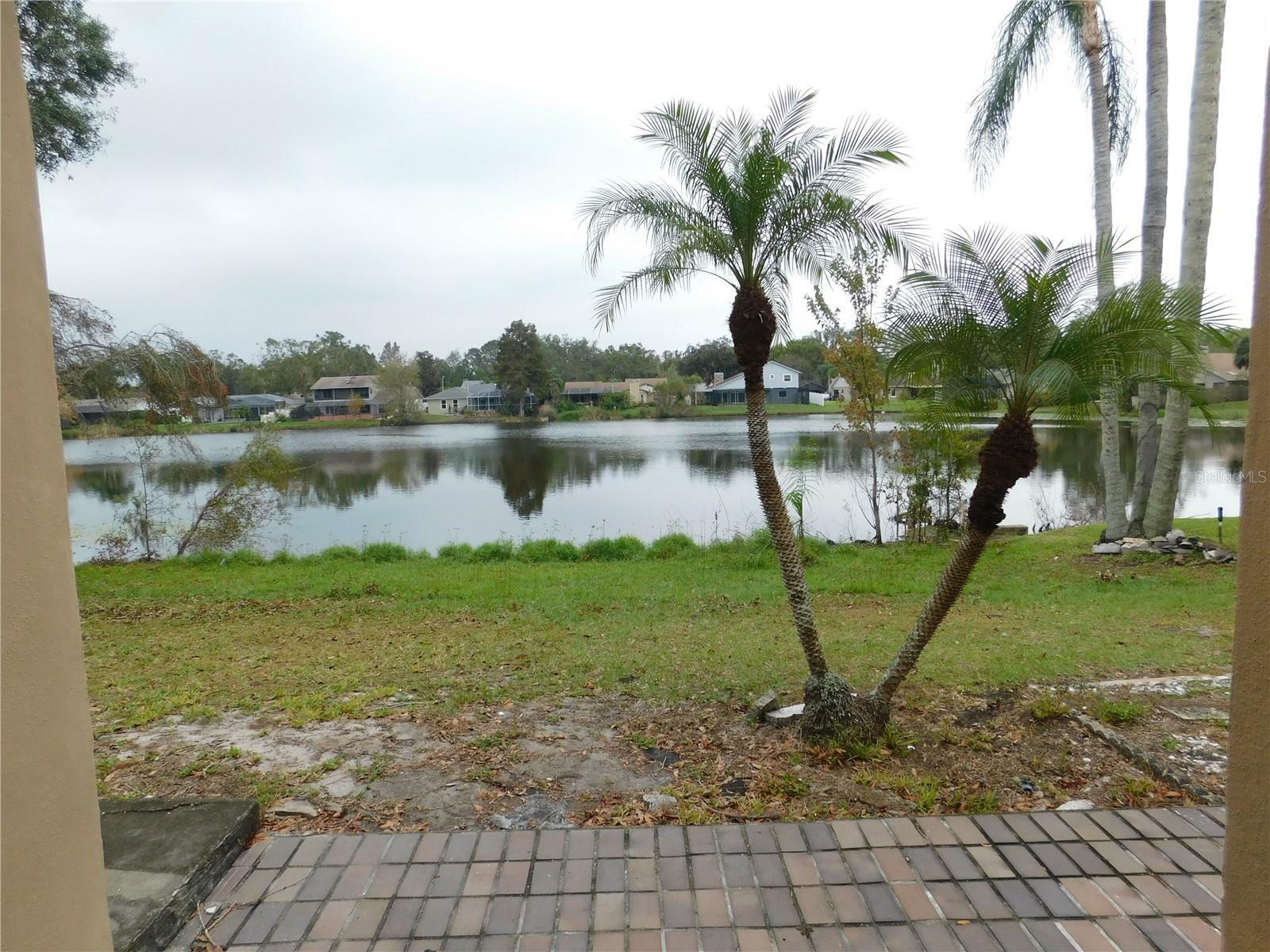 Property Photo:  3346 Foxridge Circle  FL 33618 