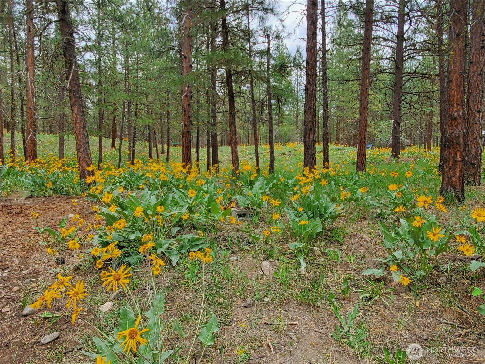 Property Photo: 5 Chase Road N WA 98862