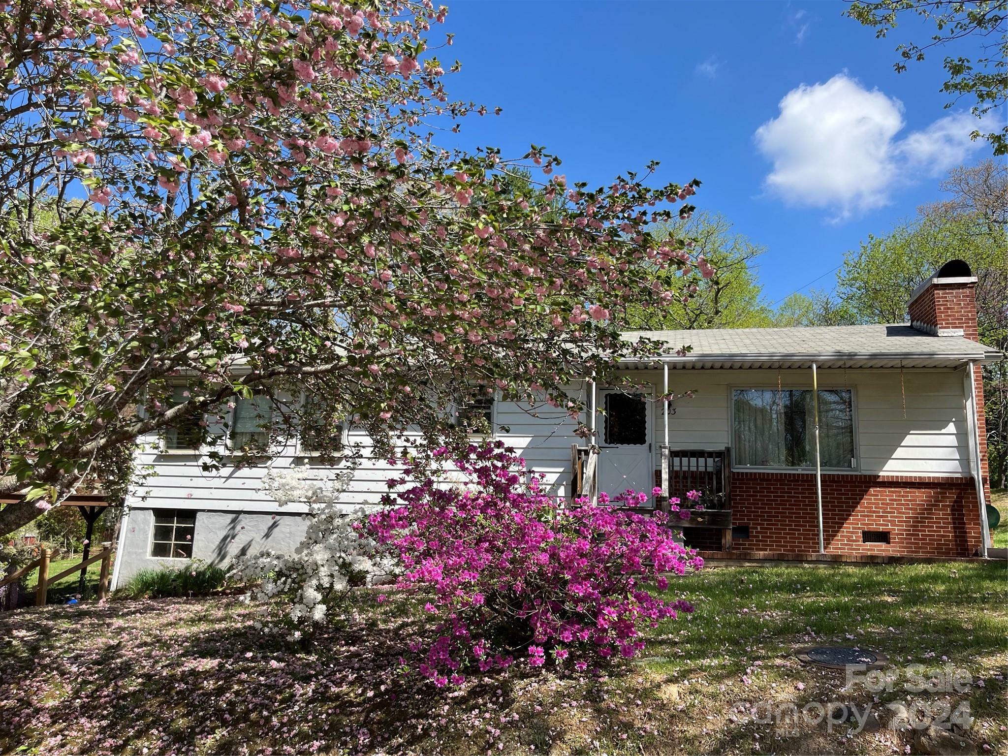 Property Photo:  203 Mountain View Road  NC 28805 