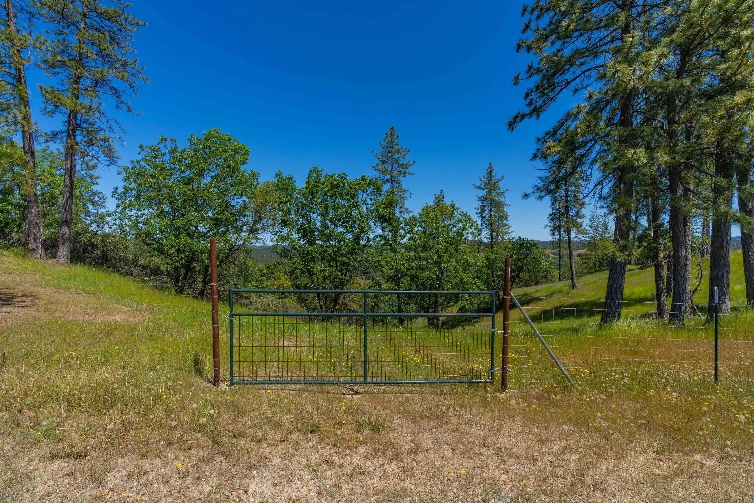 Property Photo:  12377 Twin Pines Rd  CA 95685 