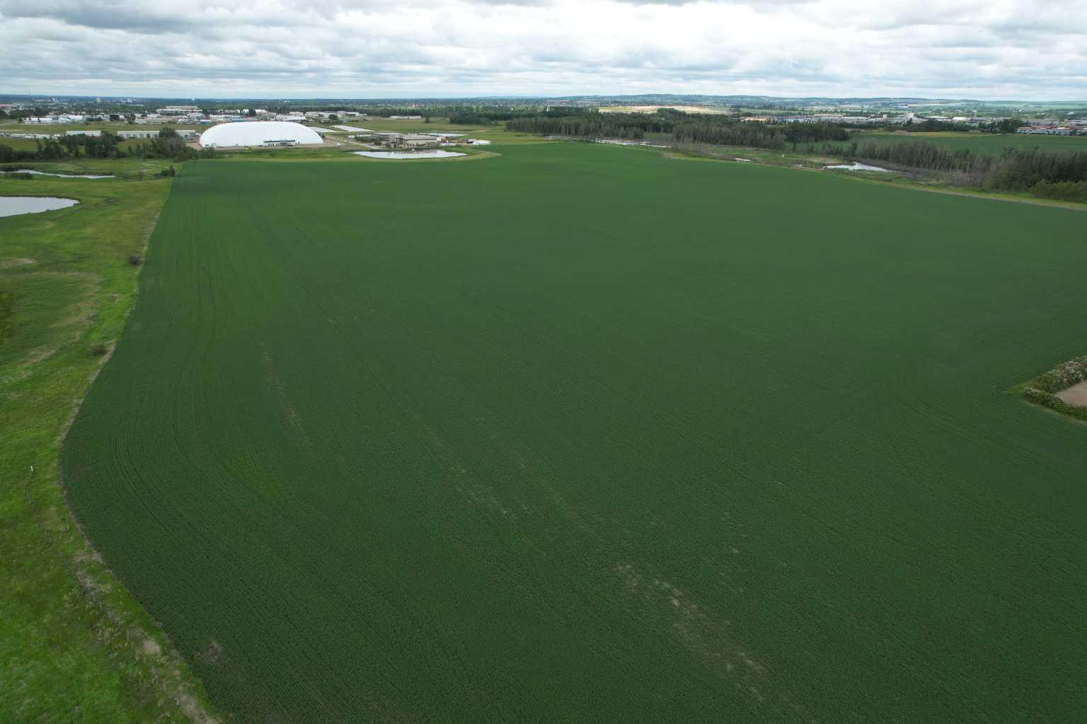 On Township Road 374  Rural Red Deer County AB T4E 1P8 photo