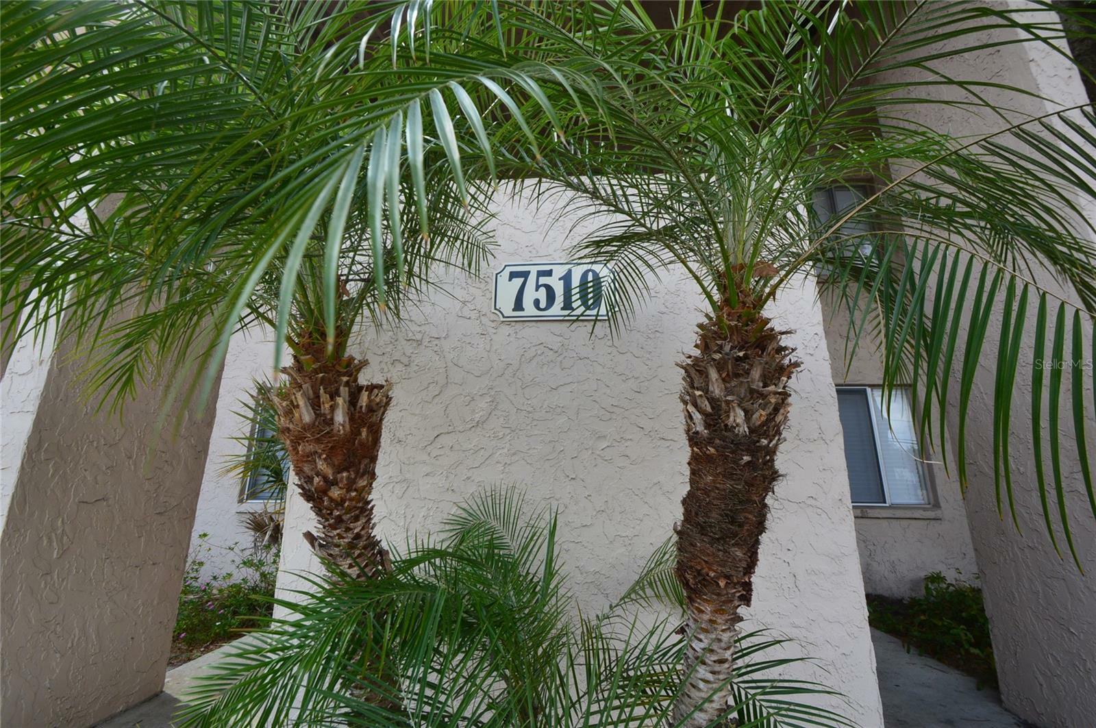 Property Photo:  7510 Needle Leaf Place A  FL 33617 