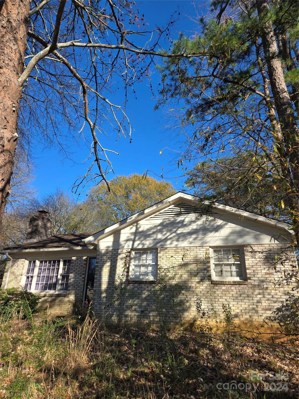 Property Photo:  9901 Arbordale Avenue  NC 28215 