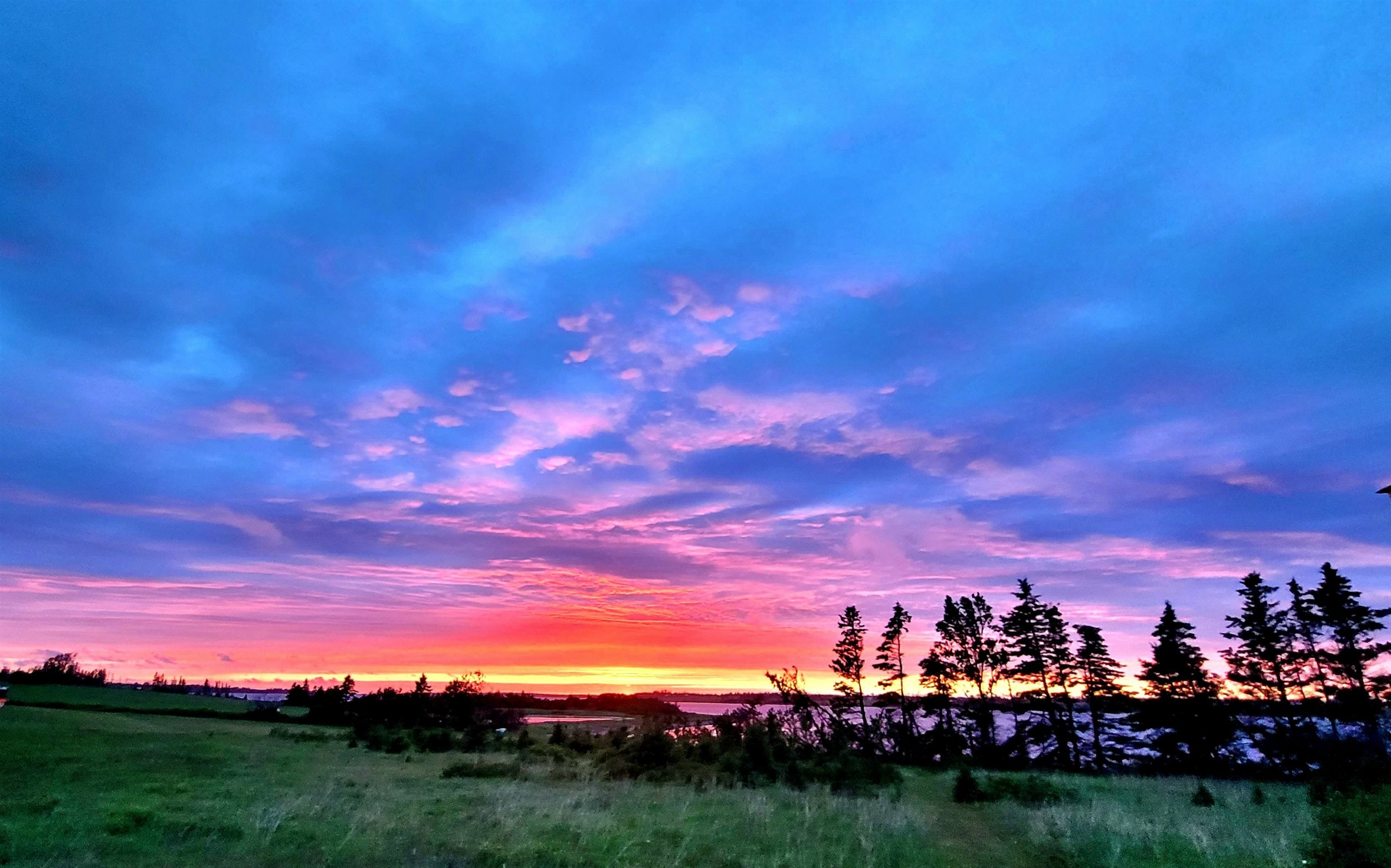 Property Photo: 180 Julias Road PE C0A 2A0