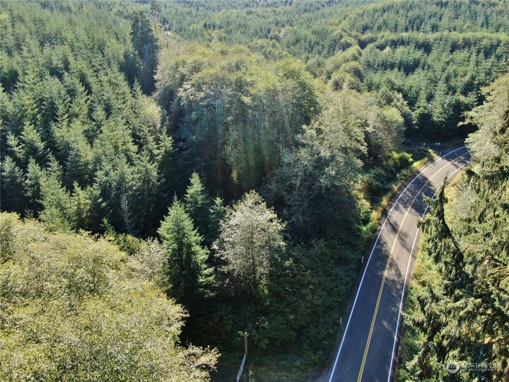 Property Photo:  0 Nka  Butte Creek Road  WA 98577 