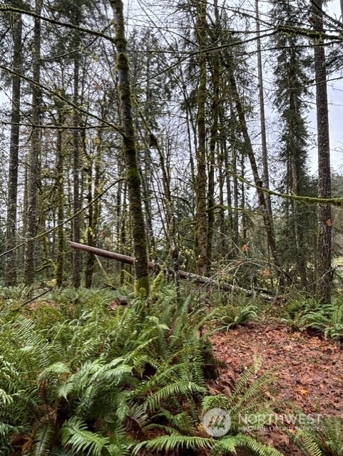 Property Photo:  8645  Waddell Creek Road  WA 98512 