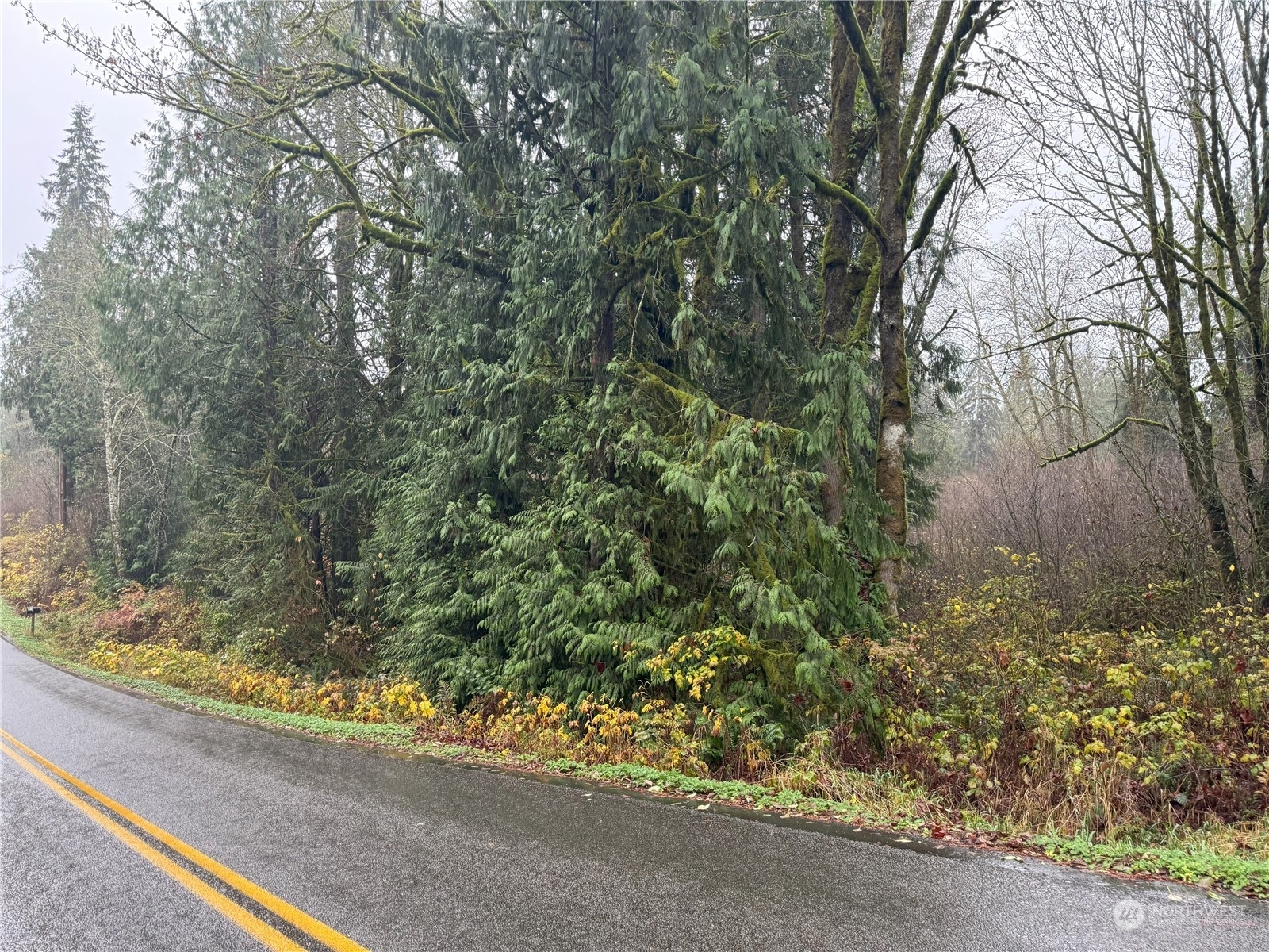 Property Photo: 0 143rd Avenue NE WA 98258