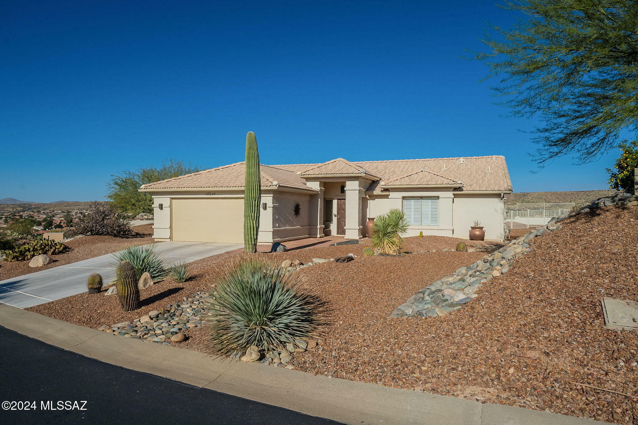 Property Photo:  65144 E Emerald Ridge Drive  AZ 85739 