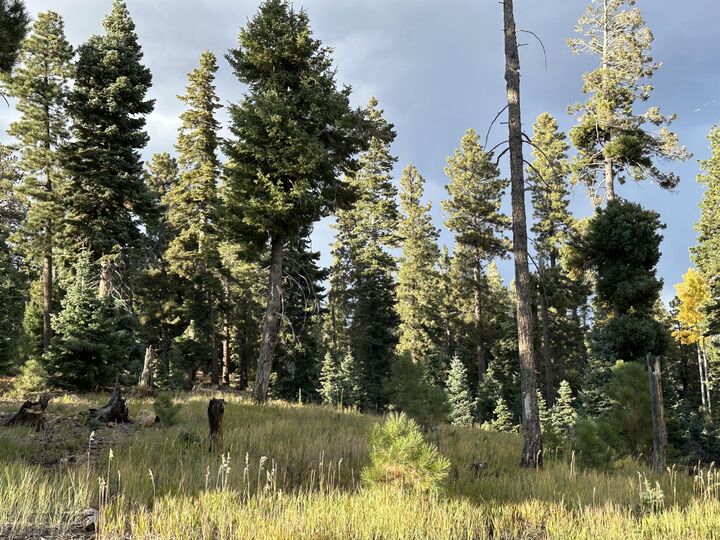 Property Photo:  1255 E Browning  UT 84762 