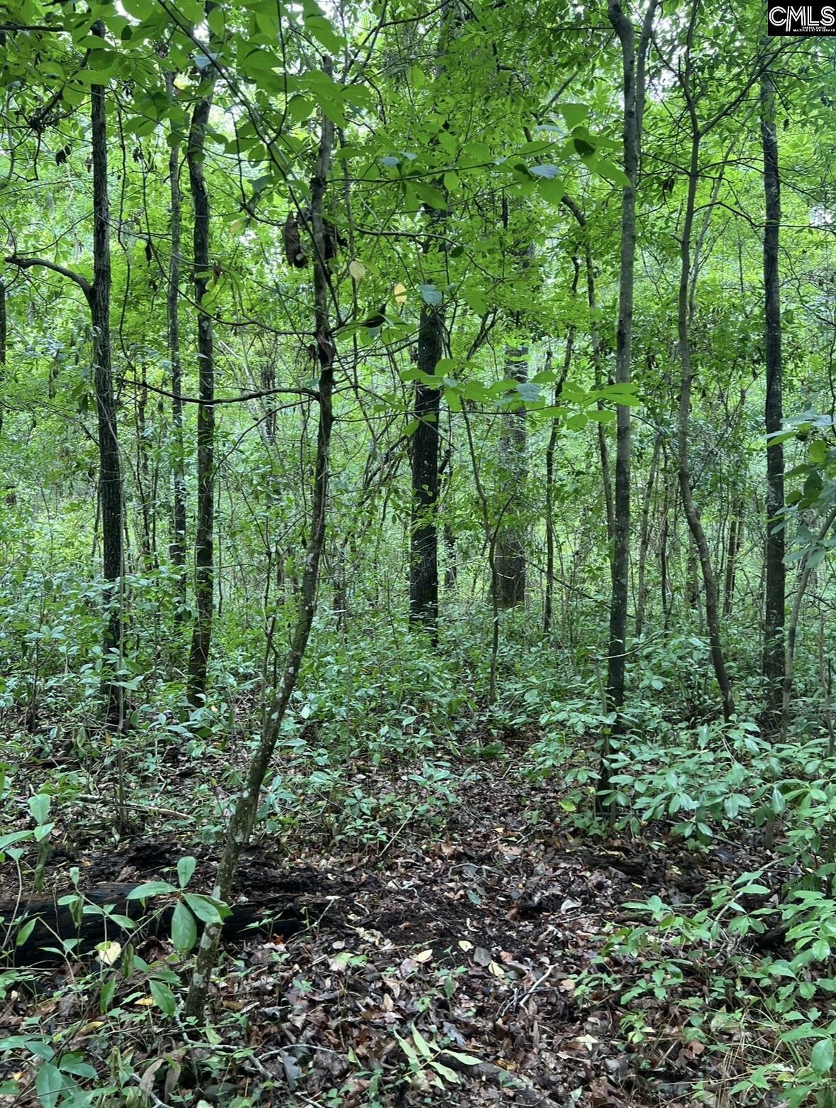 Property Photo:  Puddin Swamp  SC 29162 