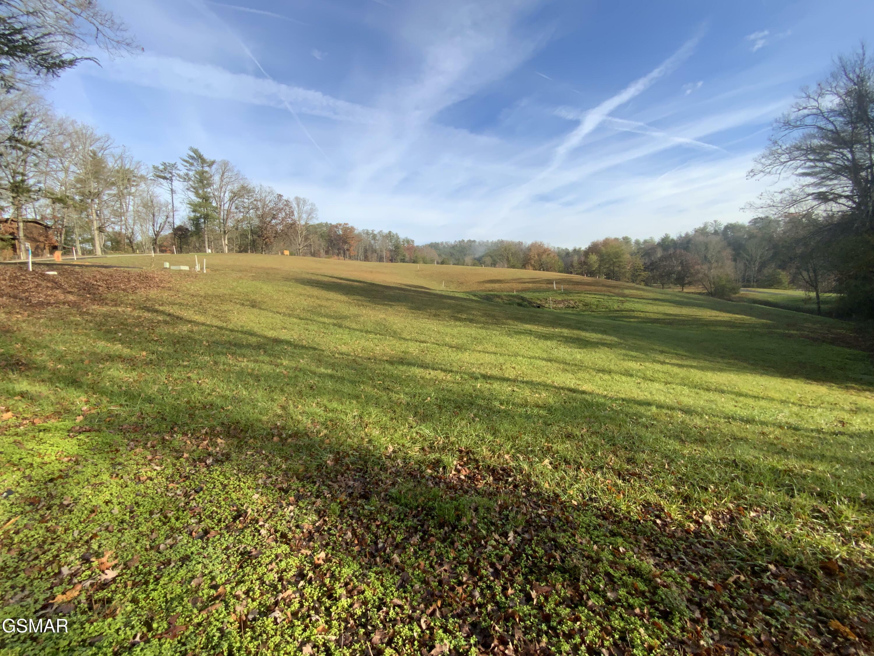 Property Photo:  Lot #75 Max Ridge Lane  TN 37862 