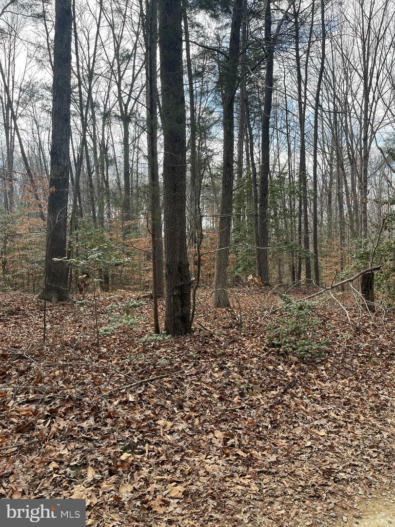 Property Photo:  6317 Little Acres Lane  VA 22580 