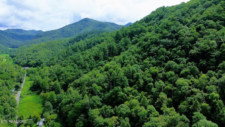 Property Photo:  Carrs Creek (38 Acres) Rd  TN 37882 