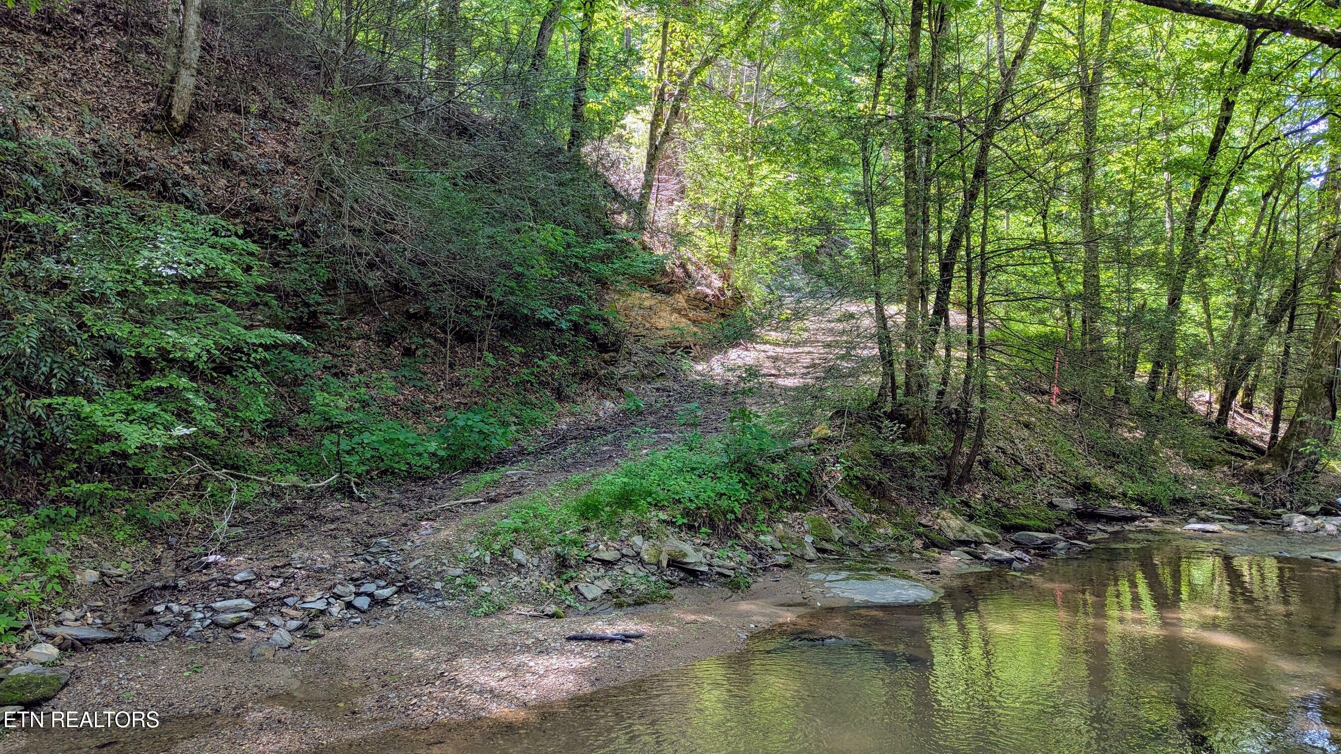 Property Photo: Carrs Creek Rd TN 37882