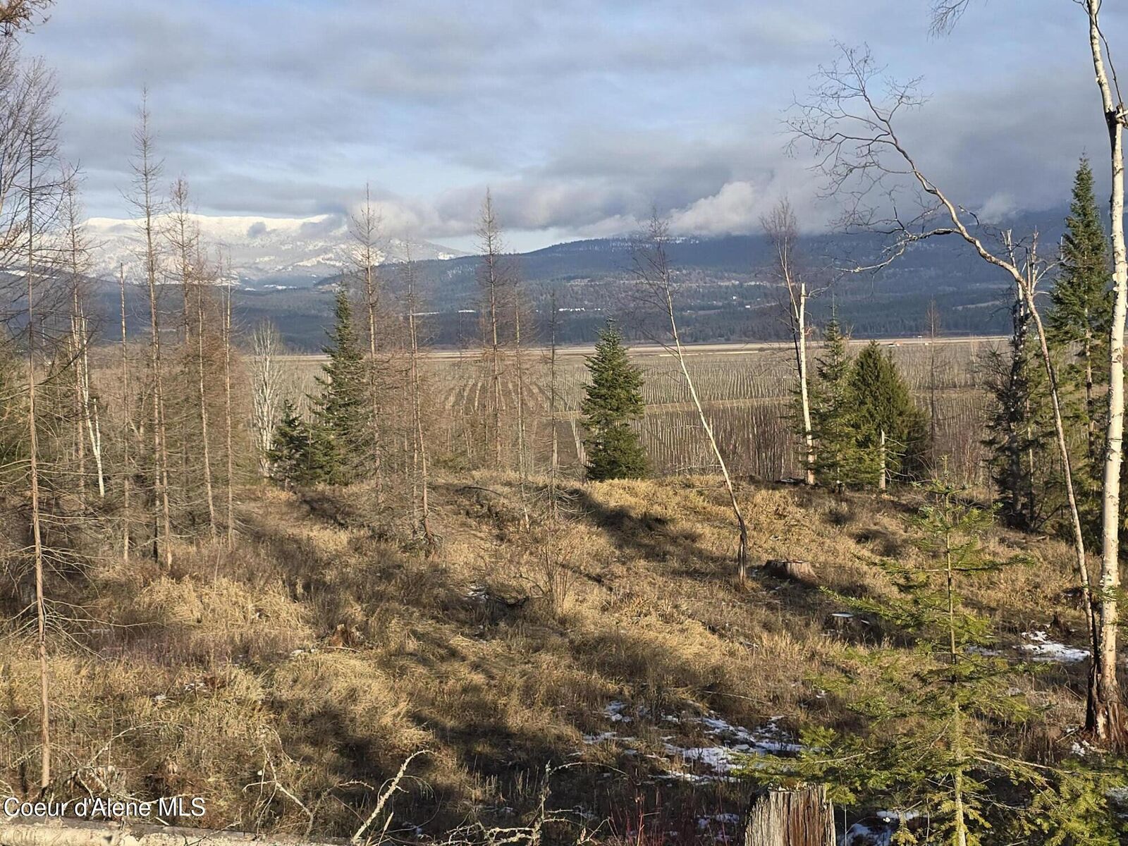 Property Photo:  Nna West Side Rd Parcel 3  ID 83805 