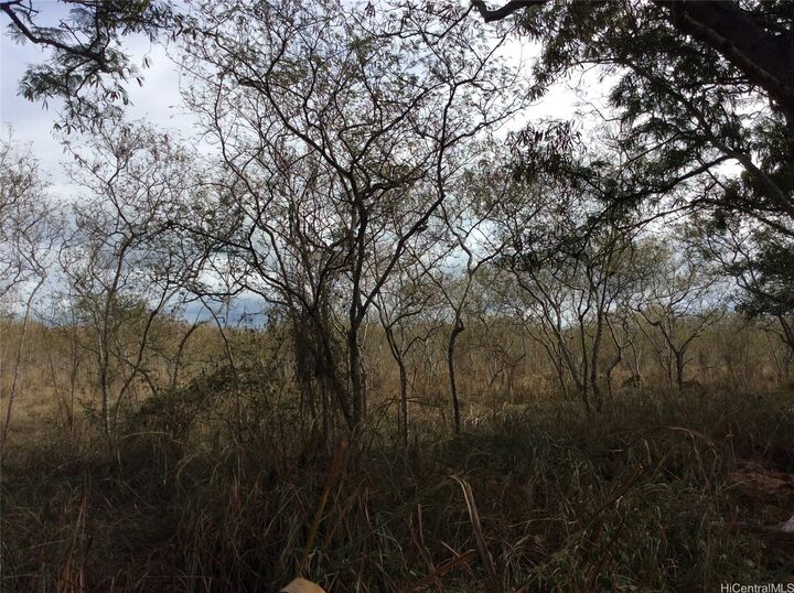 94-944 Anoiki Street 05  Waipahu HI 96797 photo