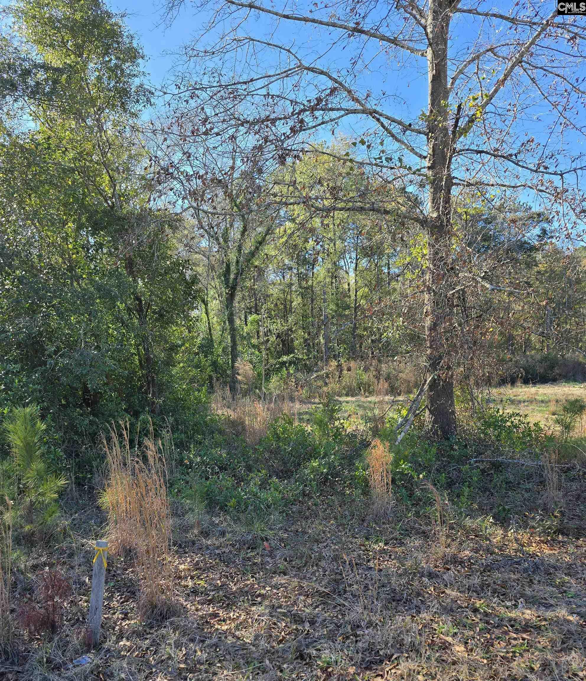 Property Photo:  0 Popular Lot 1  SC 29033 