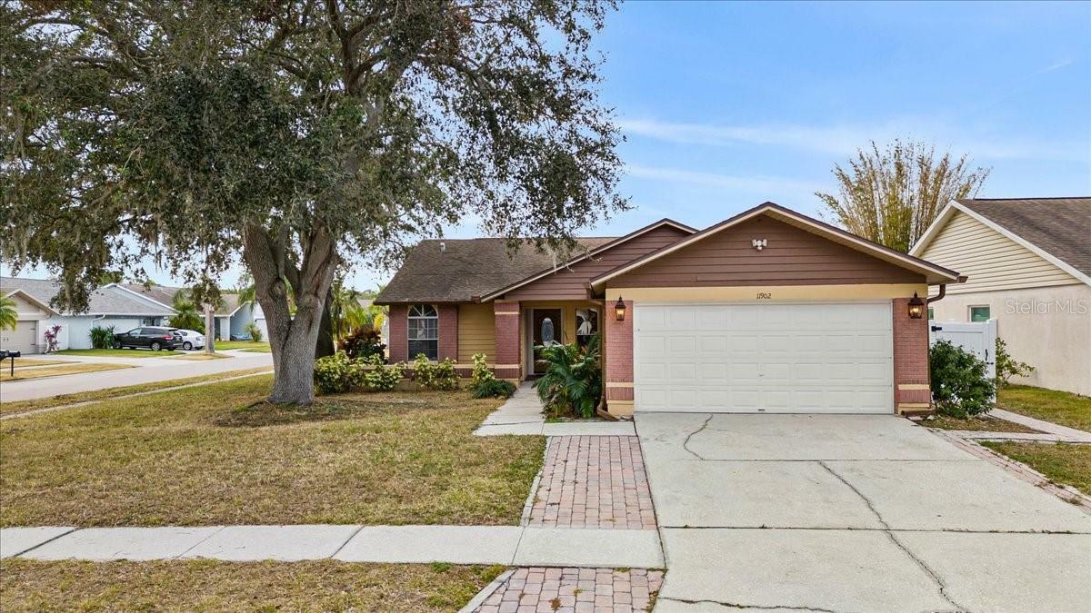 Property Photo:  11902 Snapdragon Road  FL 33635 