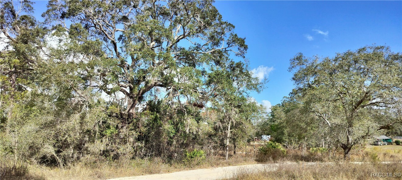 Property Photo:  4364 S Velma Point  FL 34446 