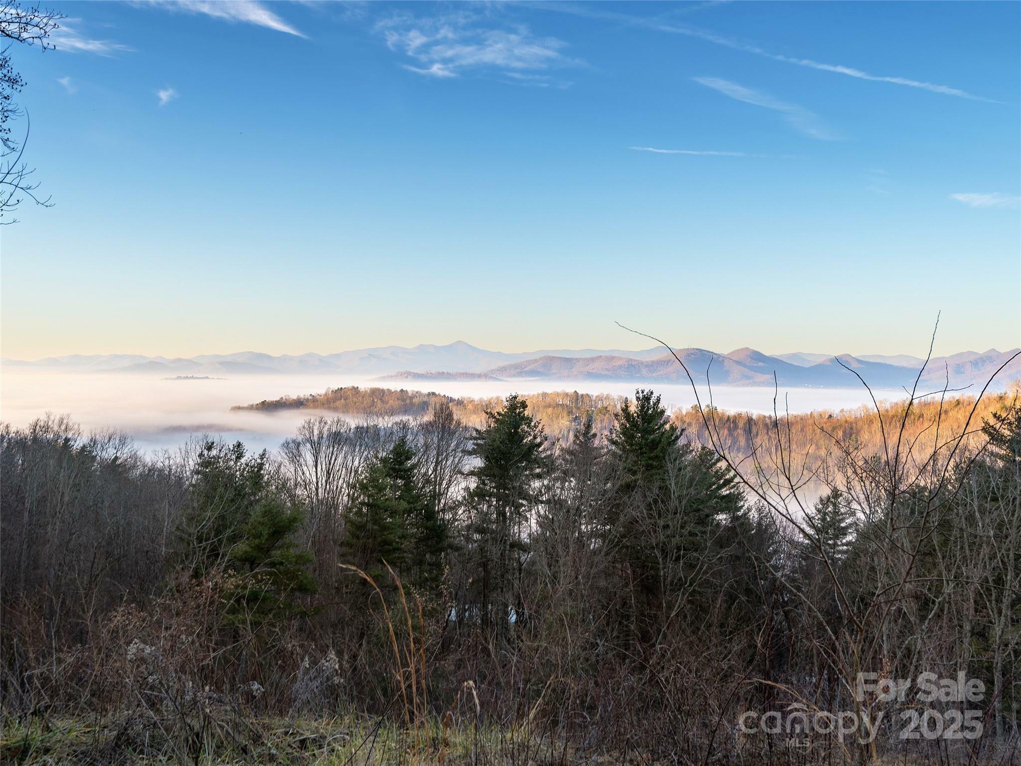 Property Photo: 99999 Whispering Breeze Knoll NC 28804
