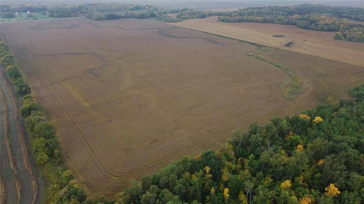 Unknown  Pine River MB R0L 0T0 photo