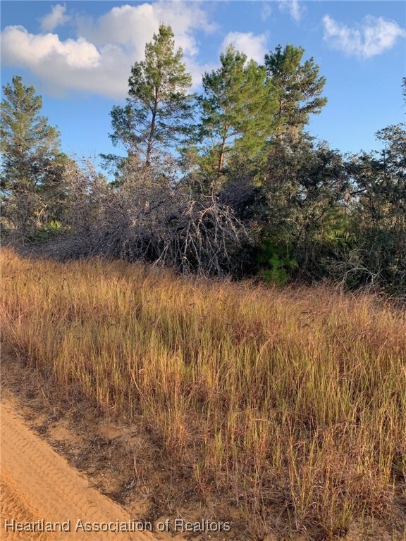 Property Photo: 2907 W Seville Drive FL 33825