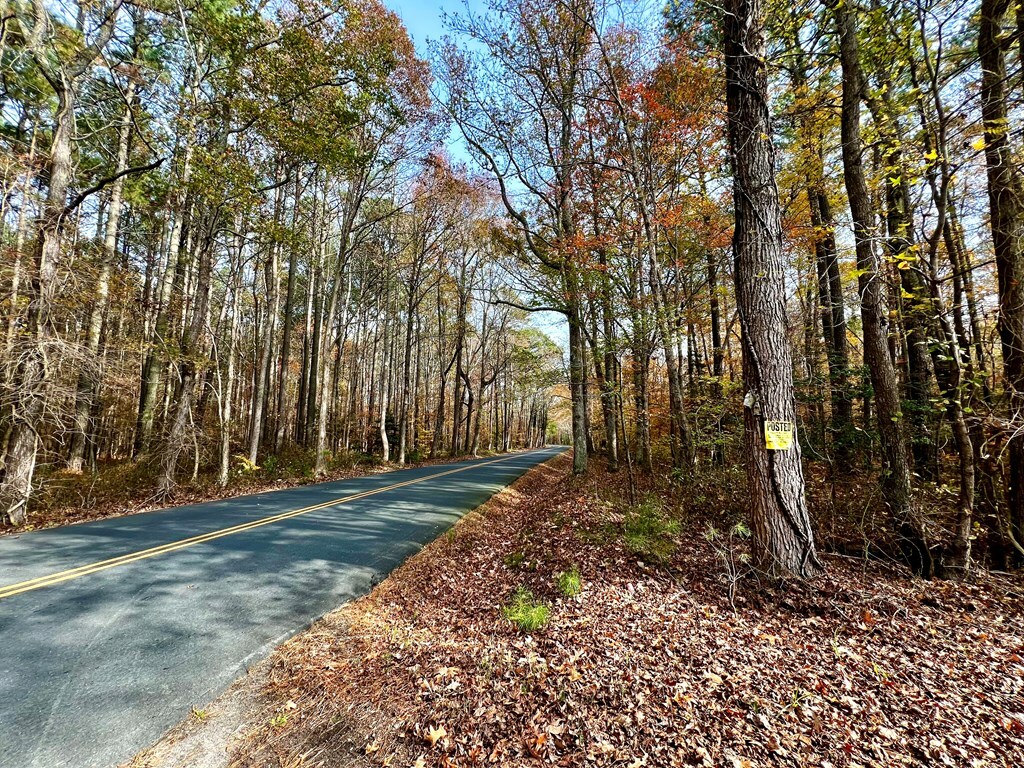 Property Photo:  Lot 11 Pungoteague Rd  VA 23401 