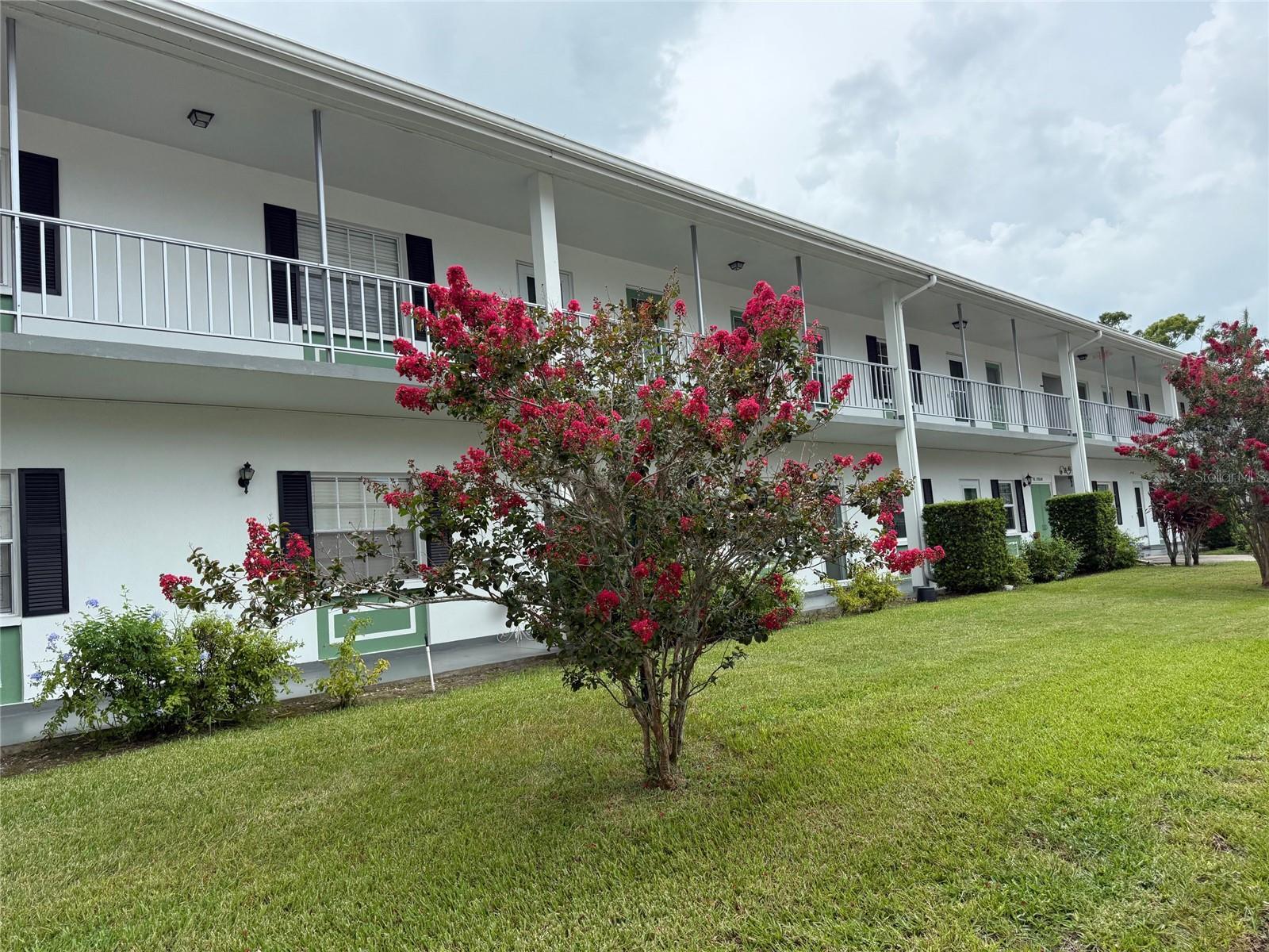 Property Photo:  200 Glennes Lane 206  FL 34698 
