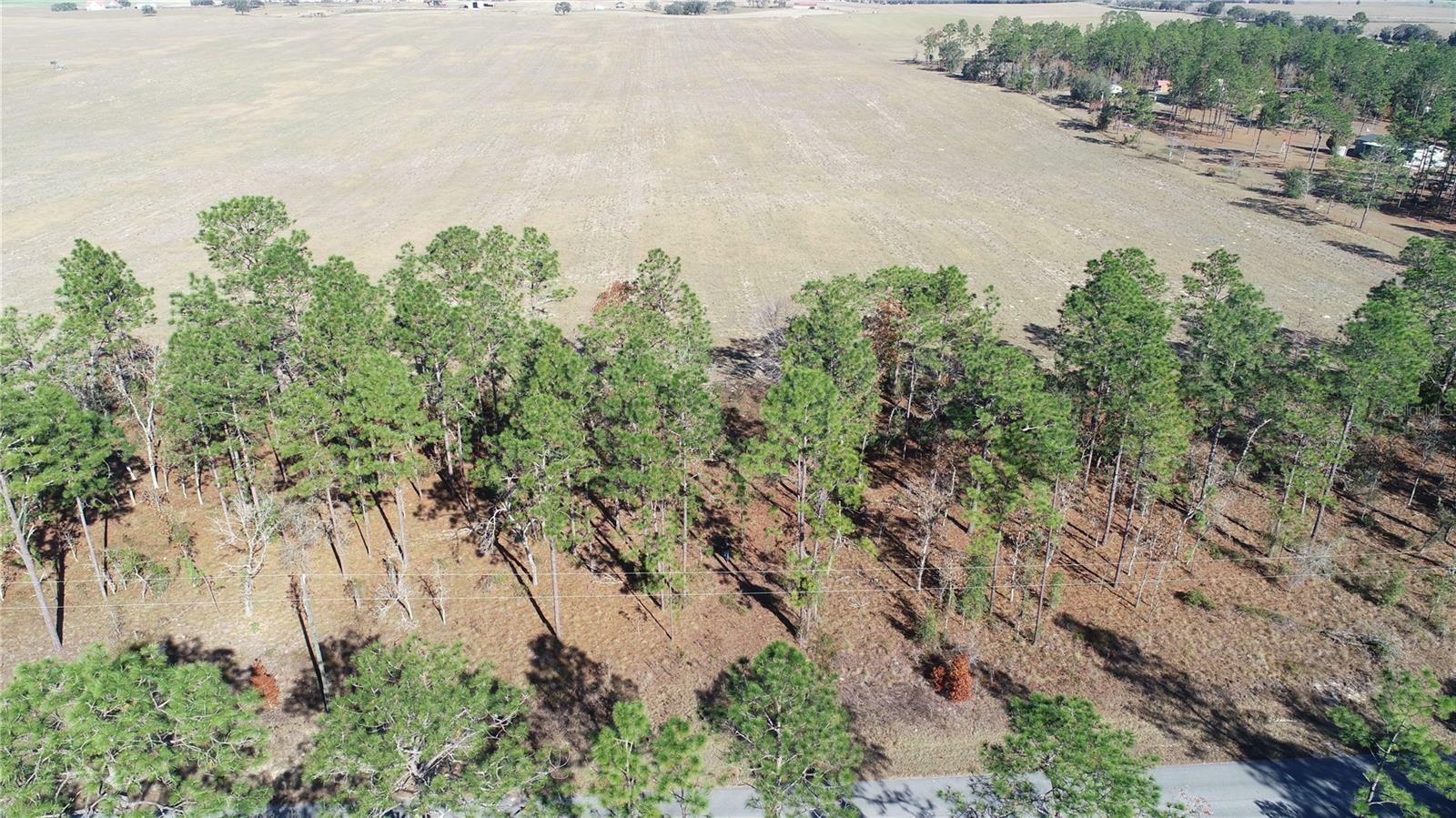 Lot 13 NE Falcon Avenue  Dunnellon FL 34431 photo