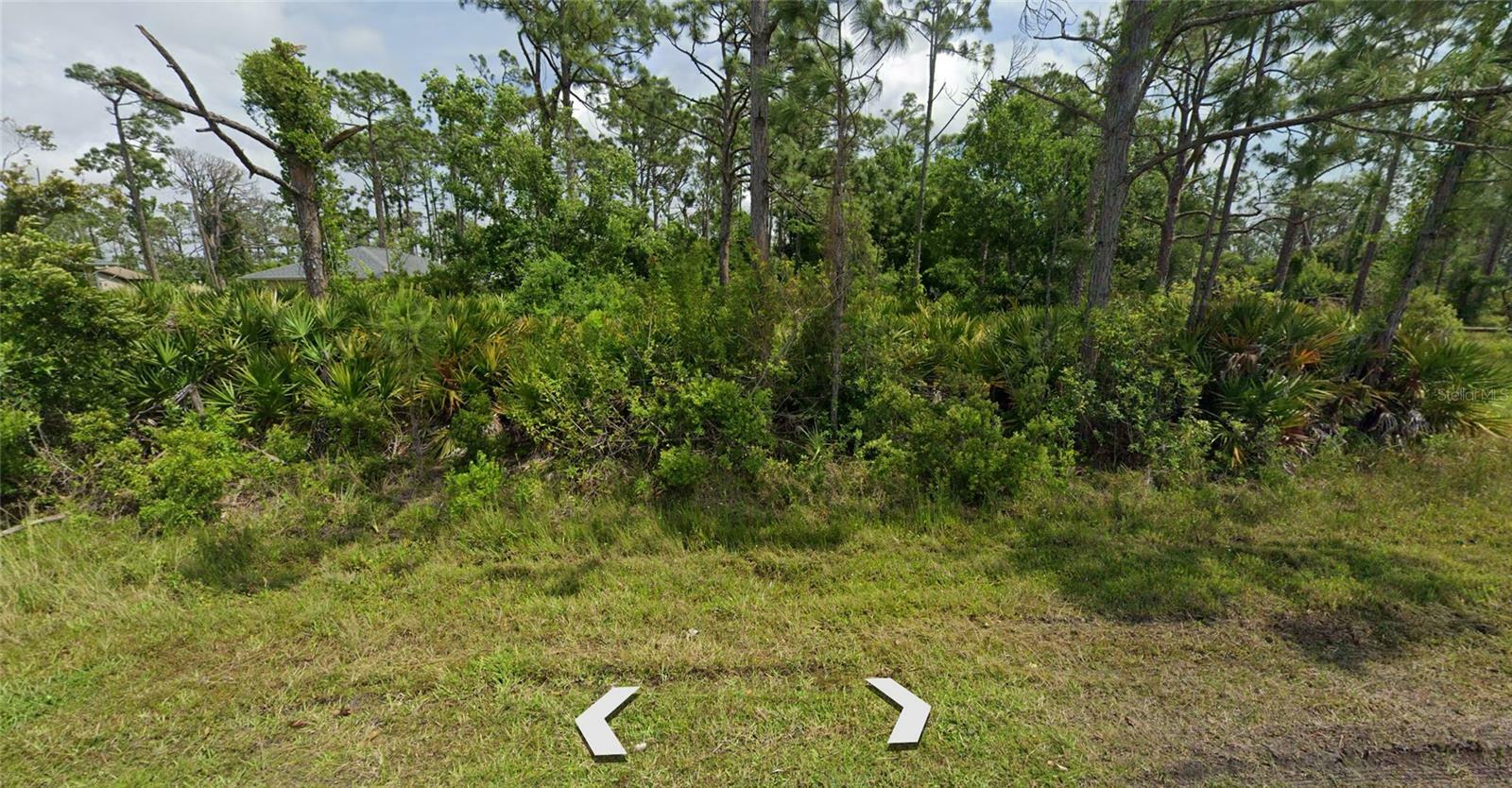 Property Photo:  13474 Hopewell Avenue  FL 33981 