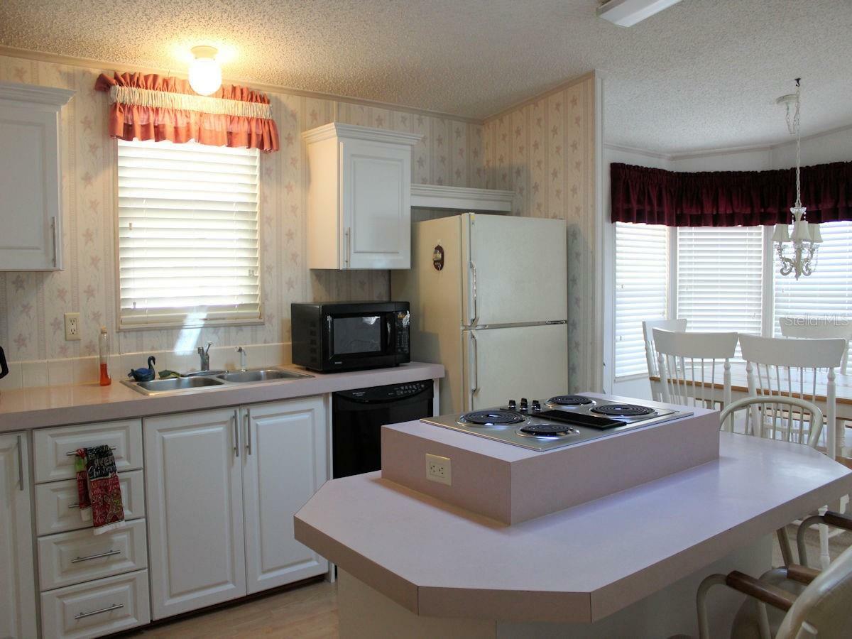 Property Photo:  44 Pindo Palm Street W  FL 33770 