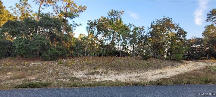Property Photo:  11373 N Kenney Loop  FL 34434 