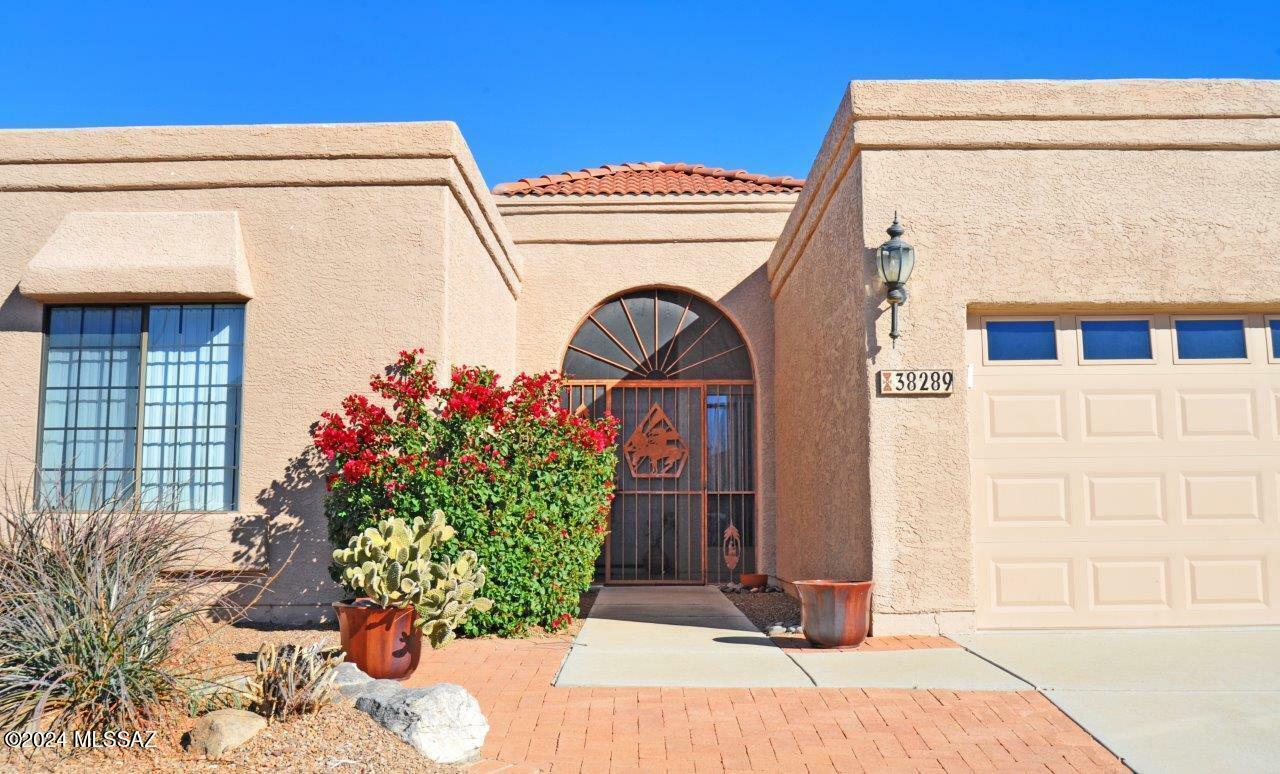 Property Photo:  38289 S Silverwood Drive  AZ 85739 