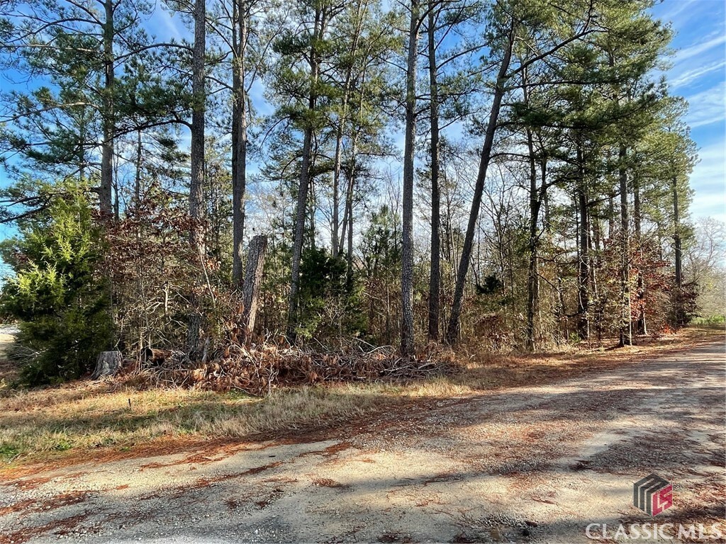 Property Photo:  Lot 17 Anderson Highway  GA 30635 