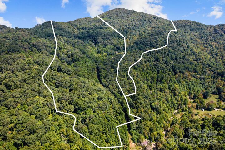 Property Photo: 505 Old Home Place Drive NC 28753
