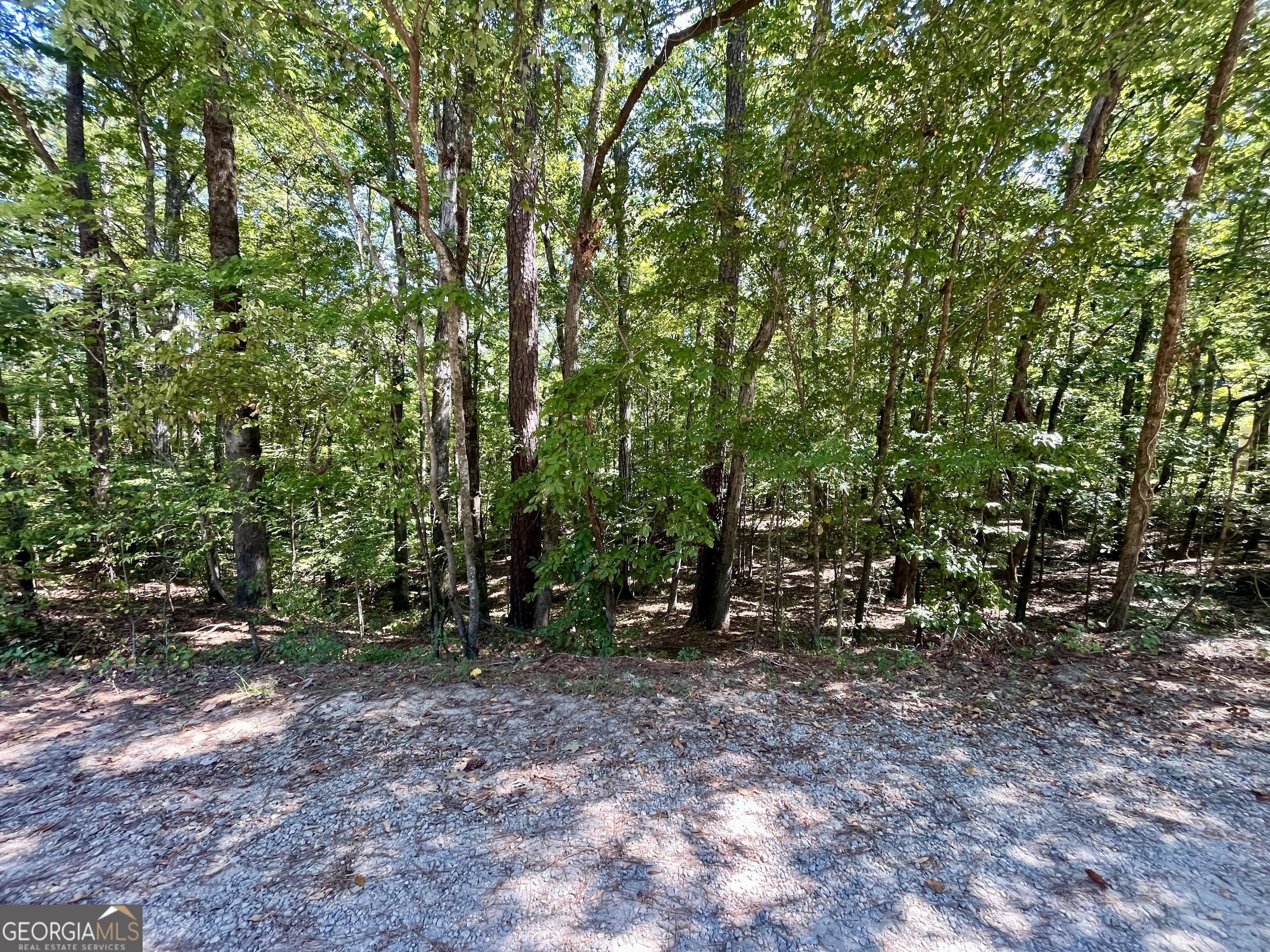 Property Photo:  0 Magpie Court Lot 194  GA 31064 